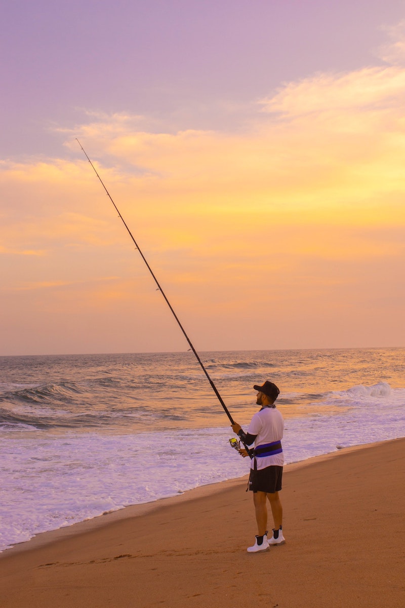 Man surf fishing on beach at sunset.